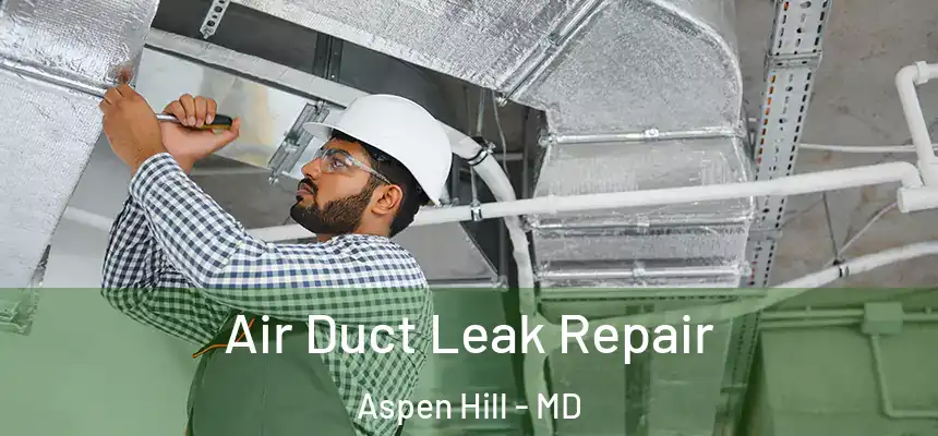  Air Duct Leak Repair Aspen Hill - MD