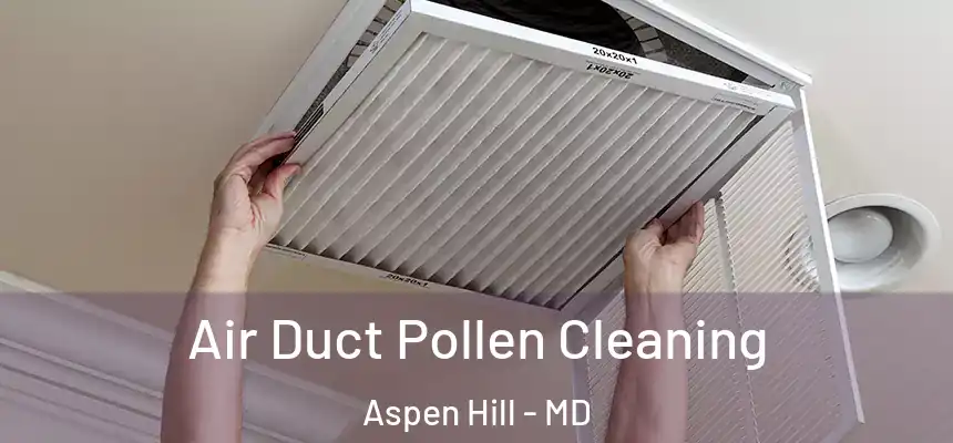  Air Duct Pollen Cleaning Aspen Hill - MD