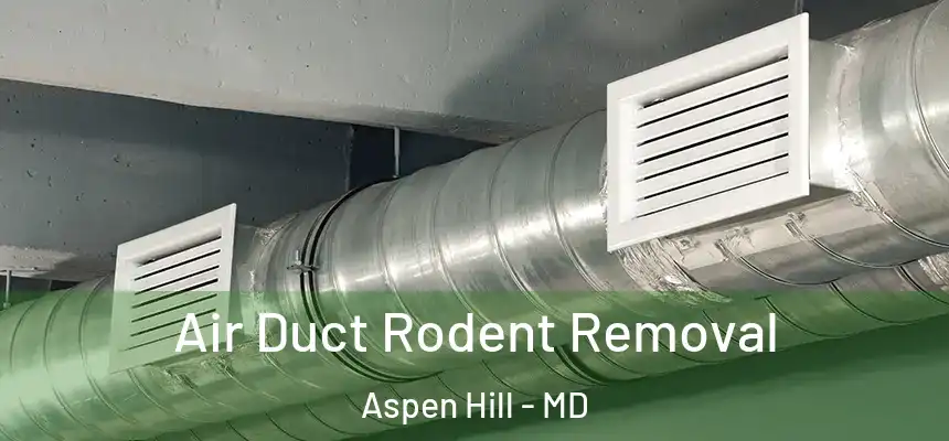  Air Duct Rodent Removal Aspen Hill - MD