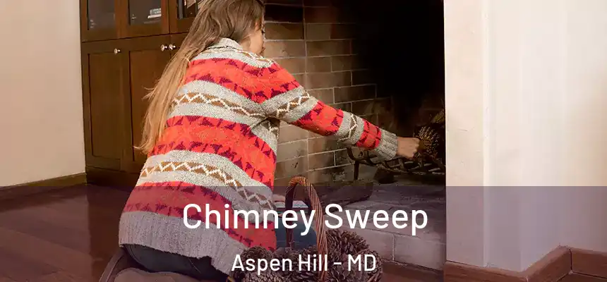 Chimney Sweep Aspen Hill - MD