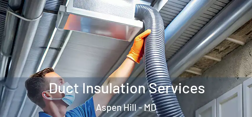 Duct Insulation Services Aspen Hill - MD
