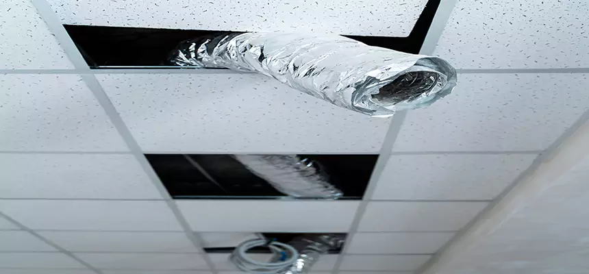 Affordable HVAC Sanitizing After Pest Removal in Aspen Hill