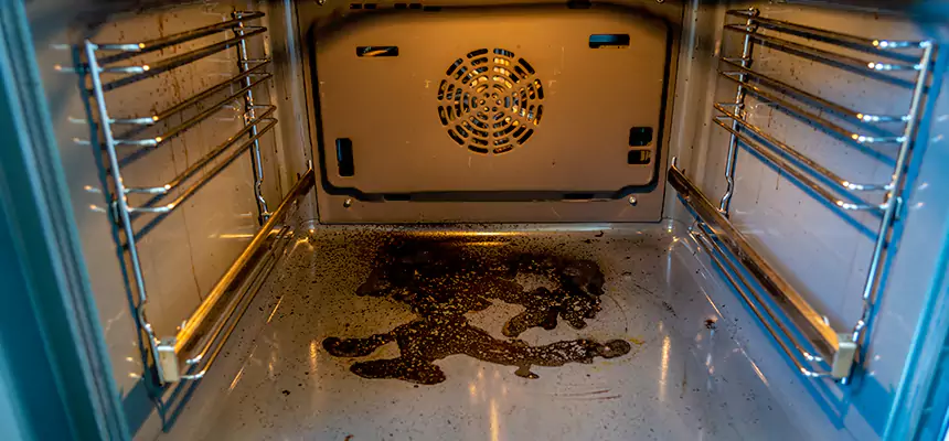 Our Dryer Vent Mold Cleaning Services in Aspen Hill, MD