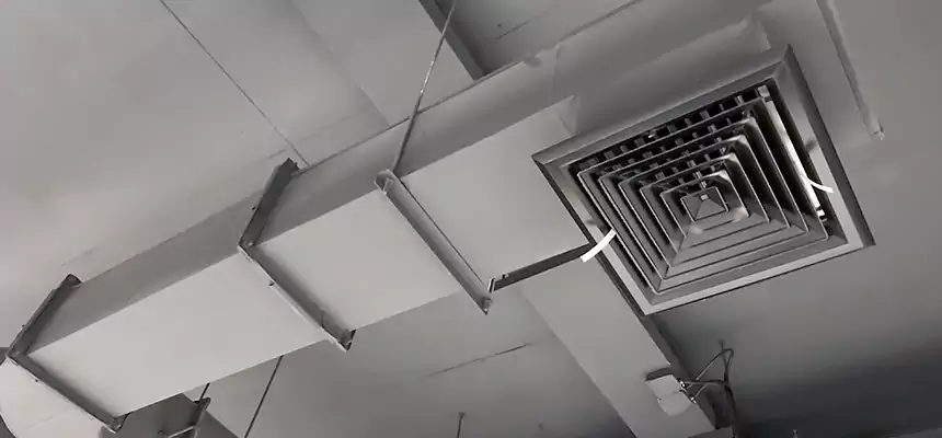 Our Pest Removal From Ducts Services in Aspen Hill, MD