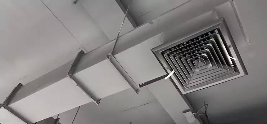 Our Rodent Droppings In Vents Services in Aspen Hill, MD