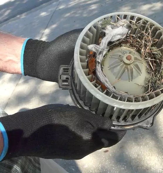 About Air Duct Mice Removal in Aspen Hill, MD