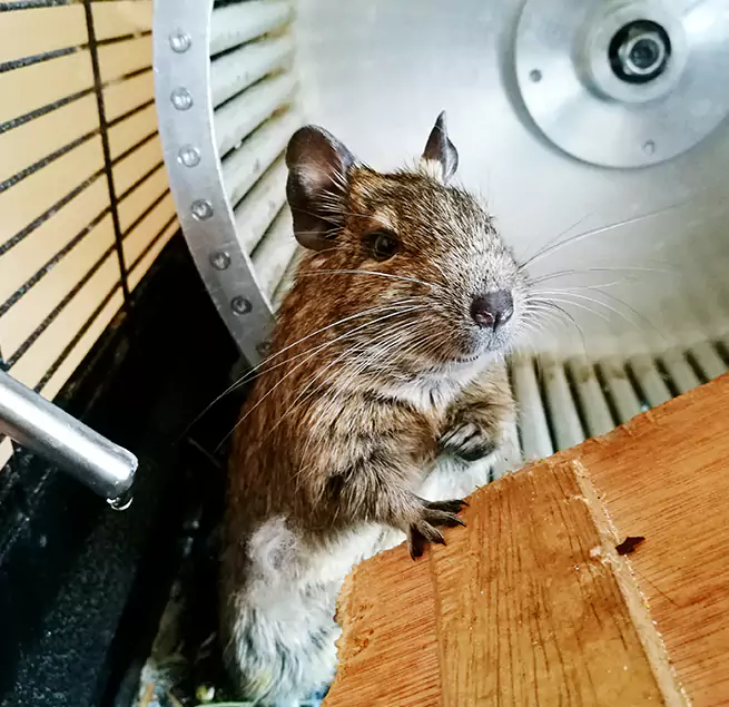 Why Homeowners & Businesses Trust Us Aspen Hill, MD